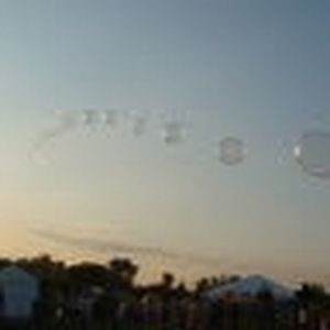 Meet your Posher, Monica